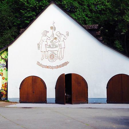 Scherfsmühle am Mühlbach Waldrach Exterior foto
